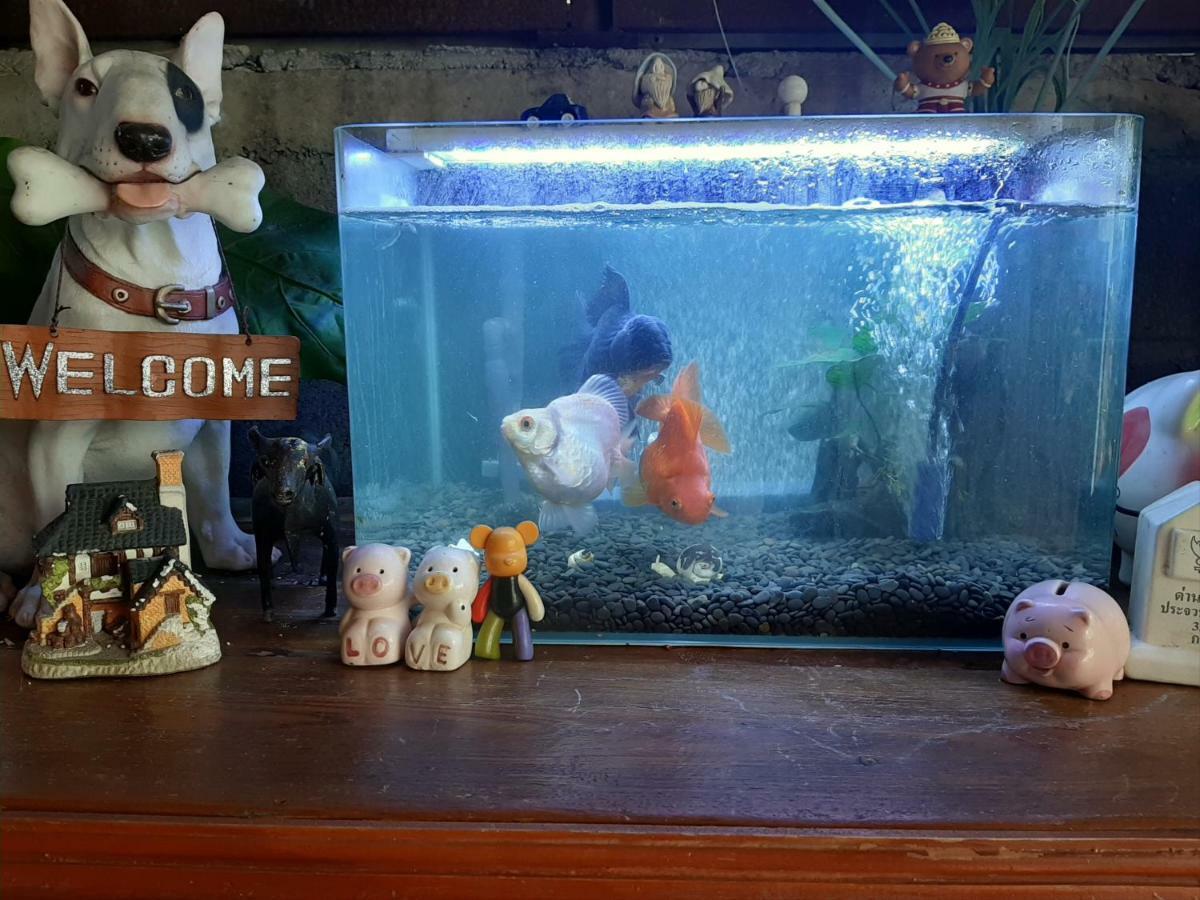 ヴァンリスト ホテル 【ペット可】 ノンタブリー エクステリア 写真